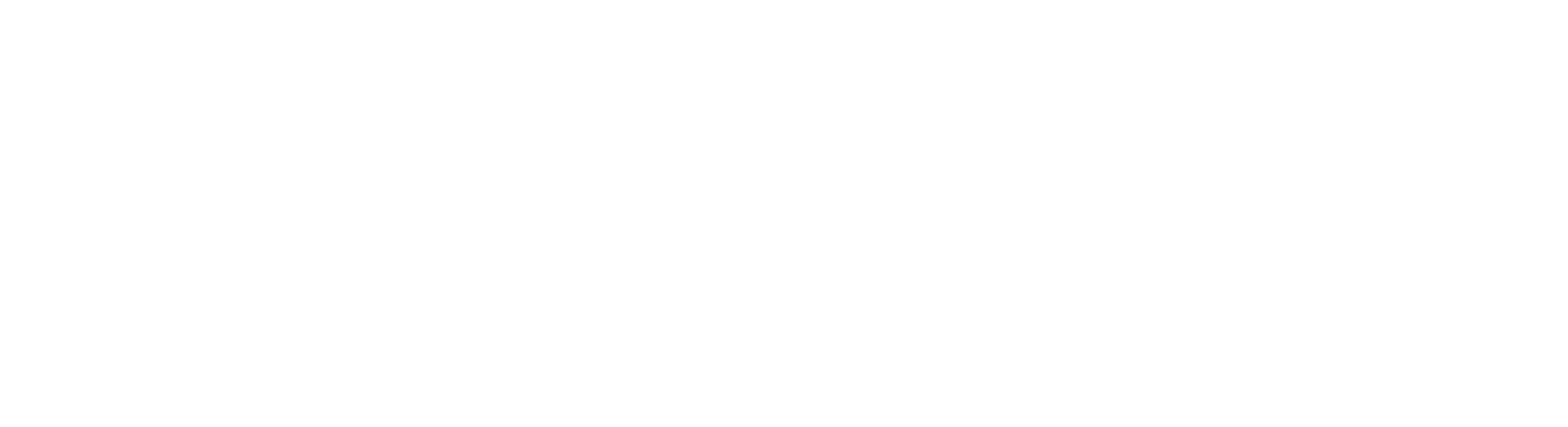 pitchy_logo_white